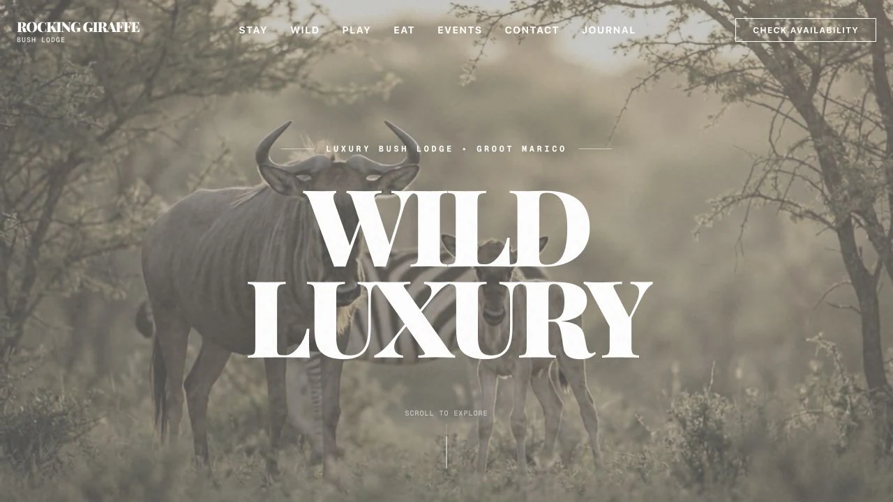 Rocking Giraffe bush-lodge website.